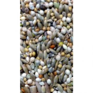 Budgie Seed Mix