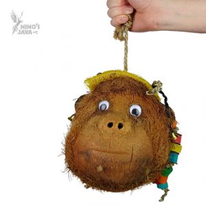 Miss Monkey / Mr Monkey