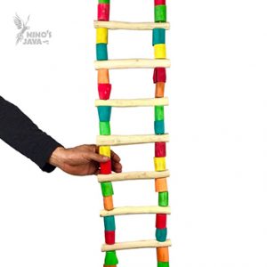 Giant Ladder