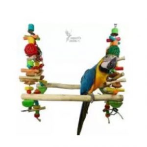 Java Bridge (In Store Only)