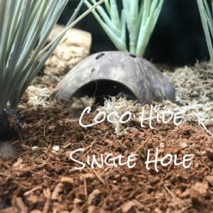 Coco Hide 1 Hole