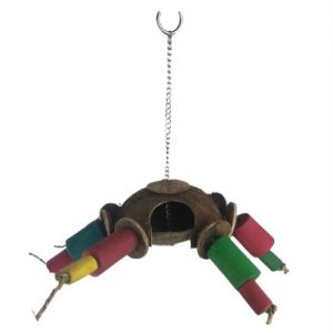Coco Spider