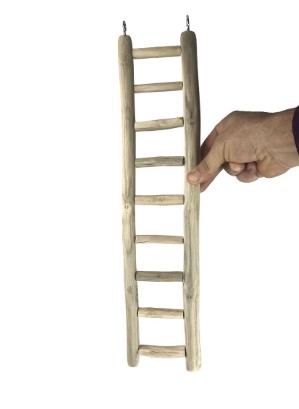 Natural Ladders