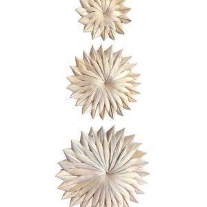Palm Flowers