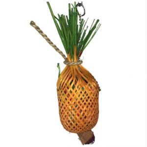 Forage Pineapple (Small)