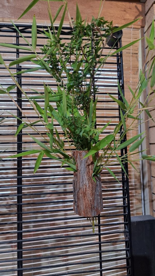 Foliage Holders - Image 2