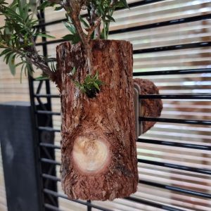 Foliage Holders