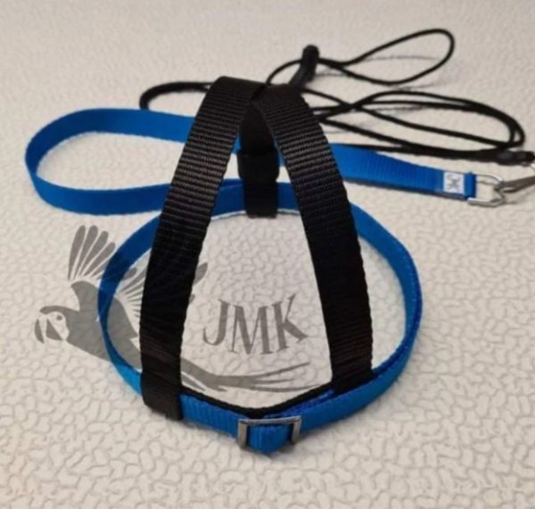 Harness - Image 3