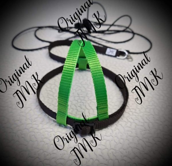 Harness - Image 8