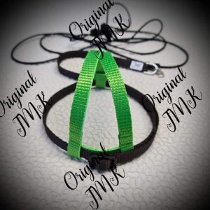 Harness