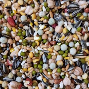 Soaking Seed Mix