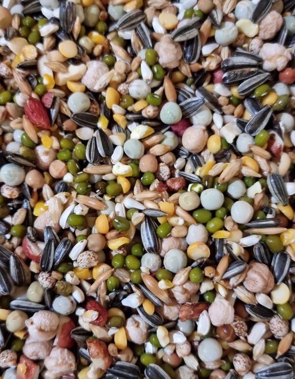 Soaking Seed Mix